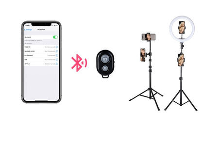 Ya Ya Live Fill Light 10 Inch Beauty Light